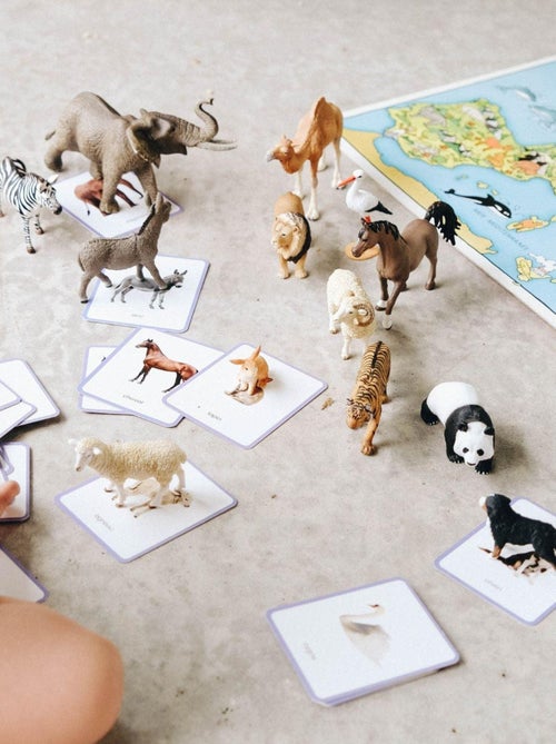 Mini-mondy - 90 cartes animaux - langage - Kiabi