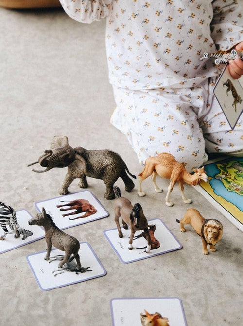 Mini-mondy - 90 cartes animaux - langage - Kiabi