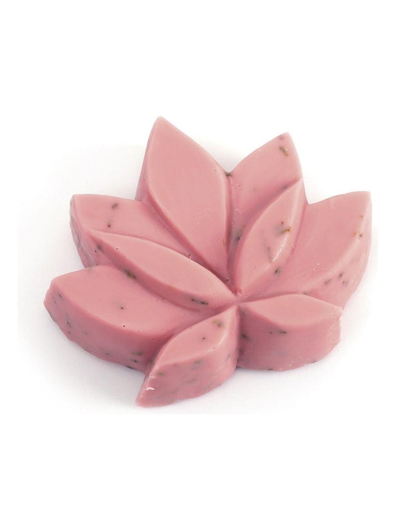 Mini moule à savon fleur de lotus - Graine Créative Transparent - Kiabi