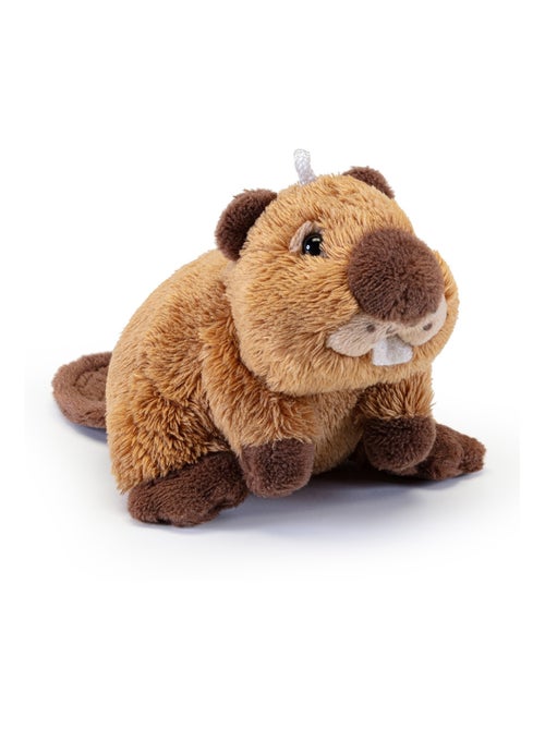 Mini peluche Castor - Kiabi