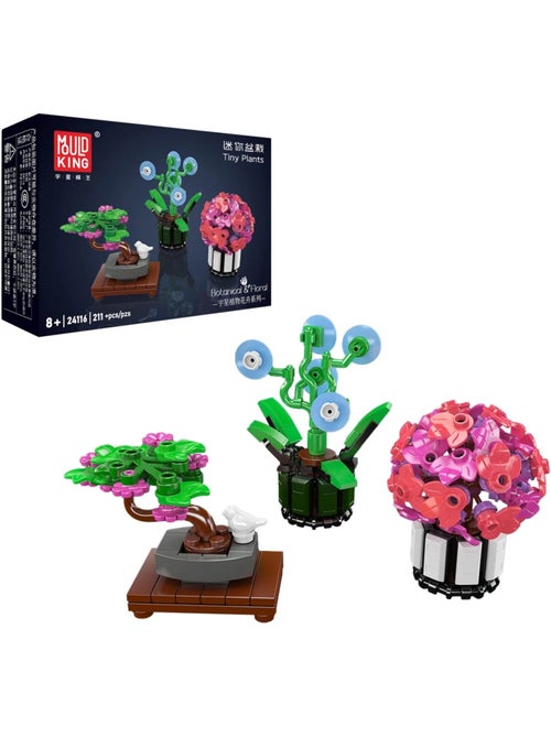 Mini-plantes en pot - Kiabi