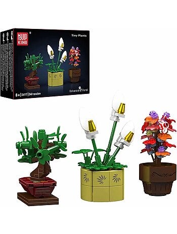Mini plantes en pot