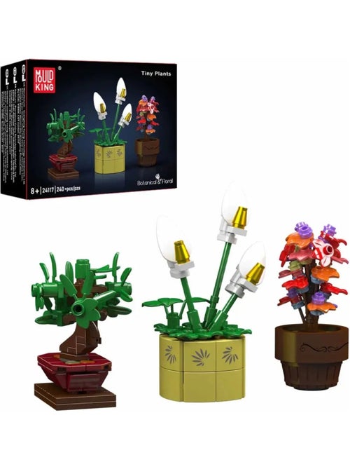 Mini plantes en pot - Kiabi