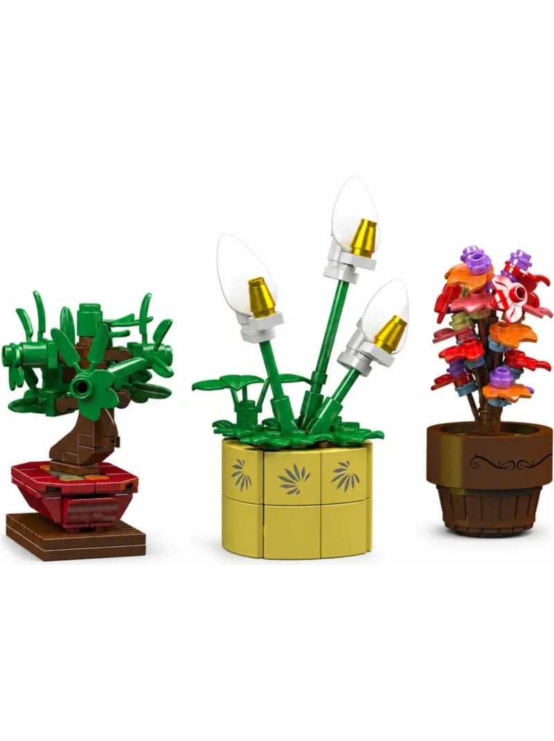 Mini plantes en pot Multicolore - Kiabi