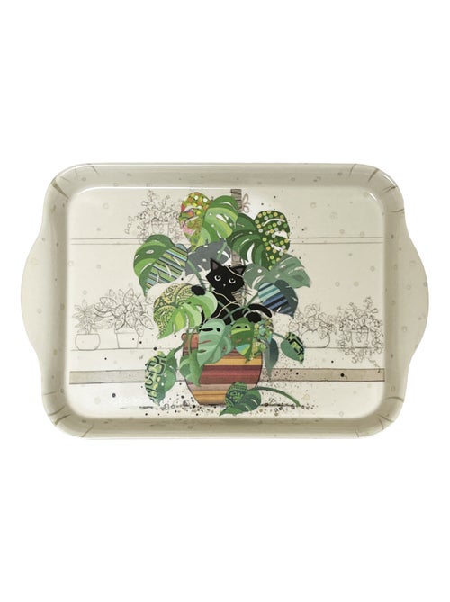 Mini plateau chaton monstera - Kiabi