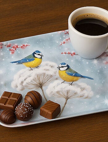 Mini plateau mésanges d’hiver