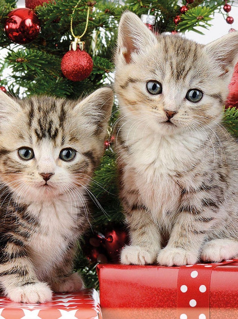 Mini plateau rectangulaire Chatons Noël Multicolore - Kiabi