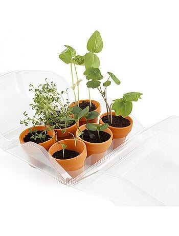 Mini-serre mon premier jardin