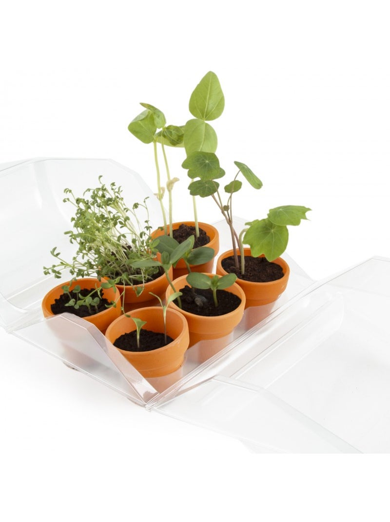 Mini-serre mon premier jardin Vert - Kiabi