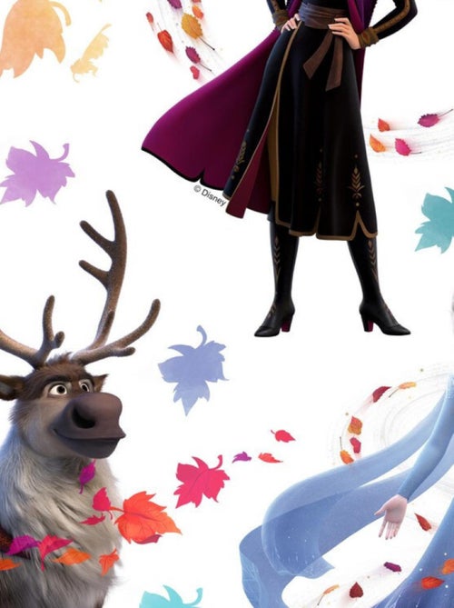 Mini Stickers Disney - La Reine des Neiges 2 - modèle ma destinée - 30 CM x 30 CM - Kiabi