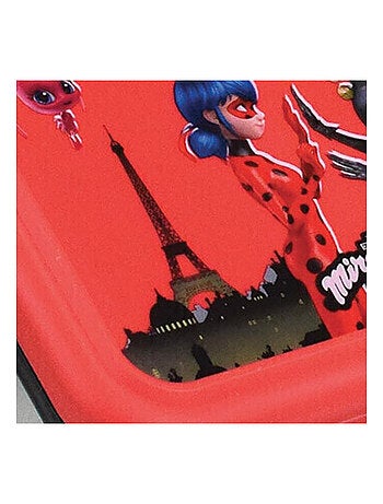 Miraculous Boite Goûter Inox