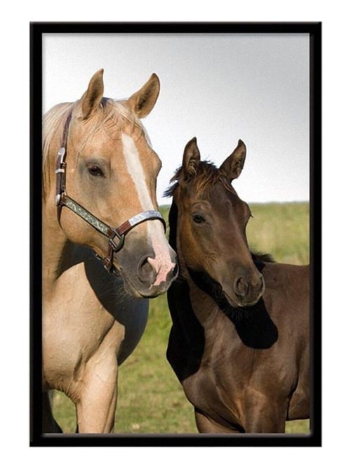 Miroir à suspendre portait de cheval - Kiabi
