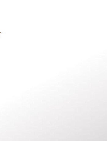 Miroir Disney Vaiana