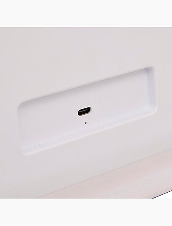 Miroir h 32 cm holly
