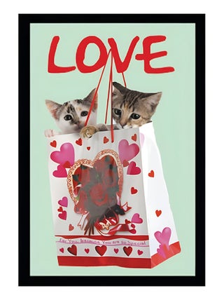 Miroir rectangulaire sérigraphié chatons