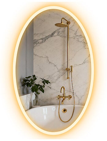Miroir salle de bain led design ovale 50 x 80 cm anti-buée réglable