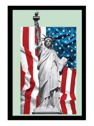Miroir statue of liberty usa