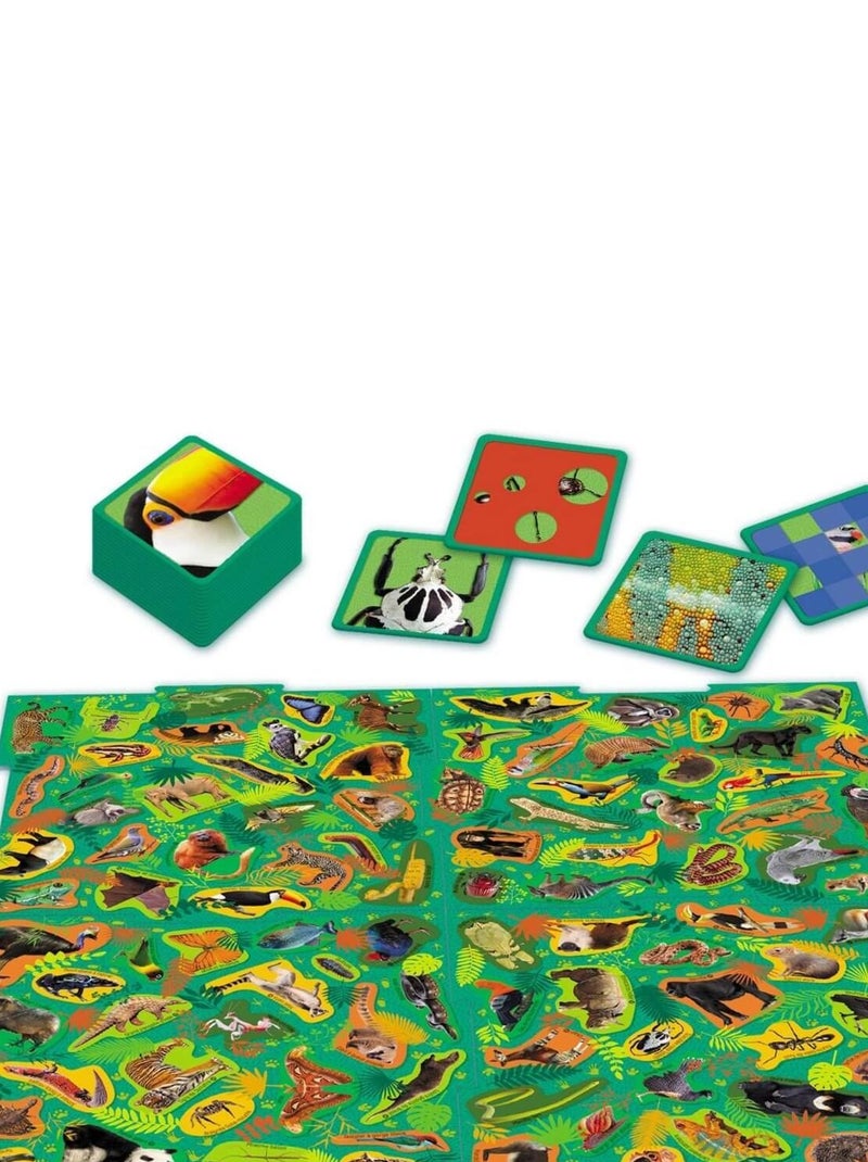 Mission Animaux :  La Jungle N/A - Kiabi