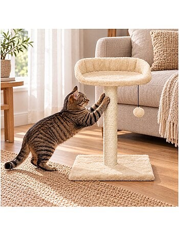 Mon ami luki arbre a chat avec assise