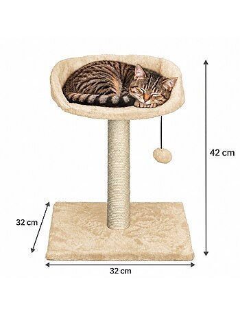 Mon ami luki arbre a chat avec assise