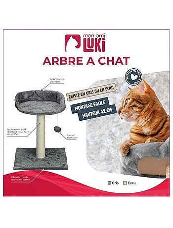 Mon ami luki arbre a chat avec assise
