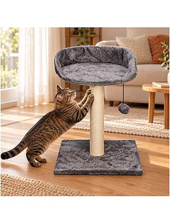 Mon ami luki arbre a chat avec assise