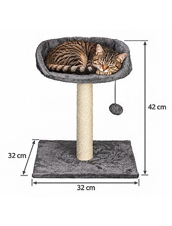 Mon ami luki arbre a chat avec assise