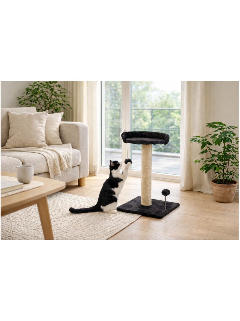 Mon Ami Luki  Arbre à chat griffoir avec plateforme & jouet gris anthracite - Kiabi