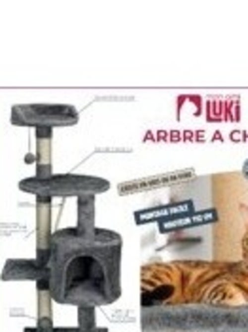 Mon Ami Luki  Arbre a chat refuge et jouet integres - Kiabi