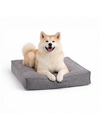 Mon Ami Luki atelas LINES antidérapant confortable petit chien