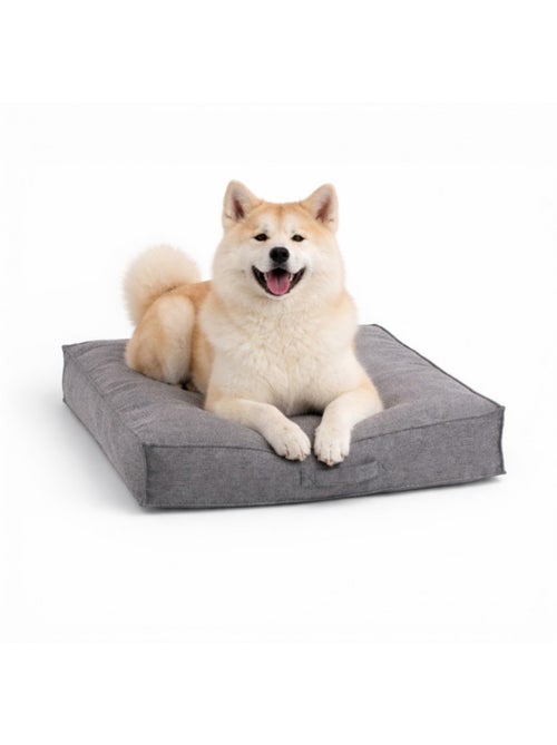 Mon Ami Luki  atelas LINES  antidérapant  confortable  petit chien - Kiabi