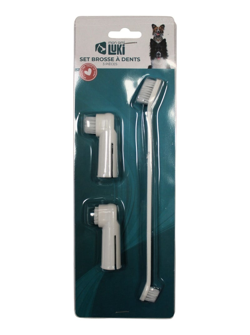 Mon Ami Luki  BROSSE A DENT COFFRET DE 3 PIECES  GARANTIE L'HYGIENE DENTAIRE DE VOTRE COMPAGNON Turquoise - Kiabi