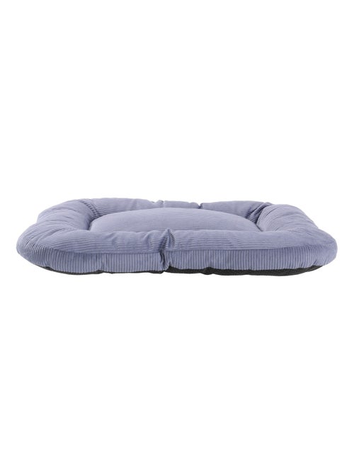 Mon Ami Luki  Coussin confort - Kiabi