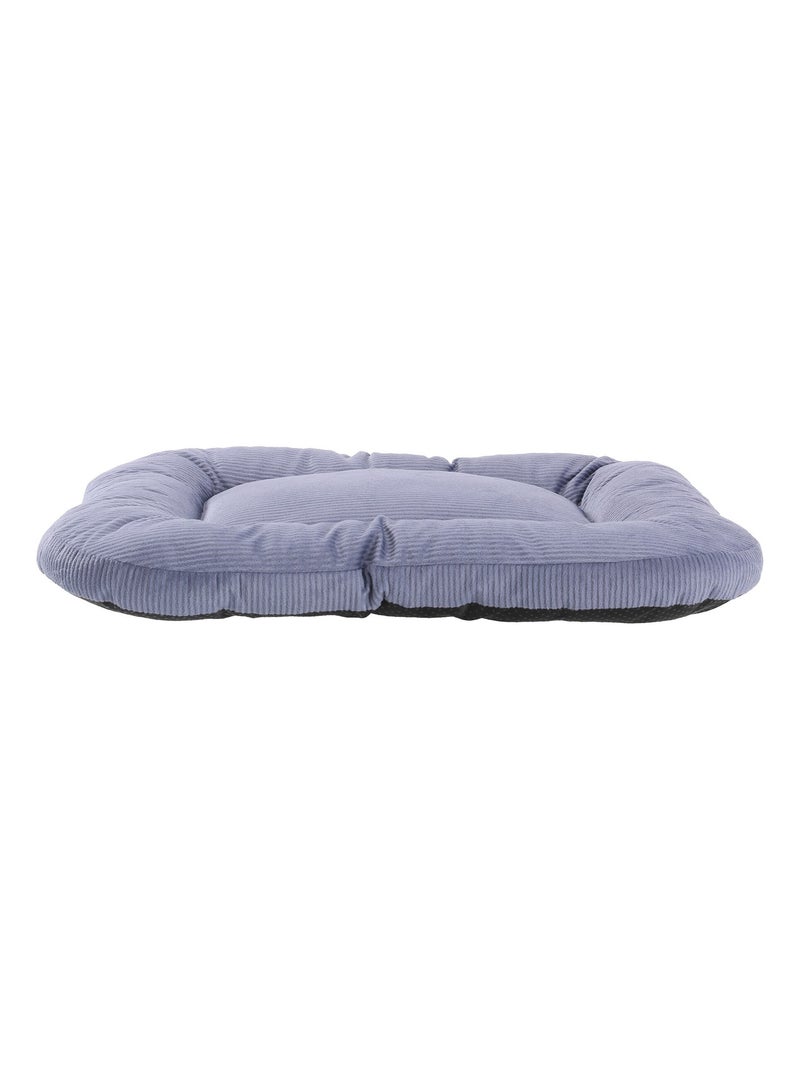 Mon Ami Luki  Coussin confort Bleu - Kiabi
