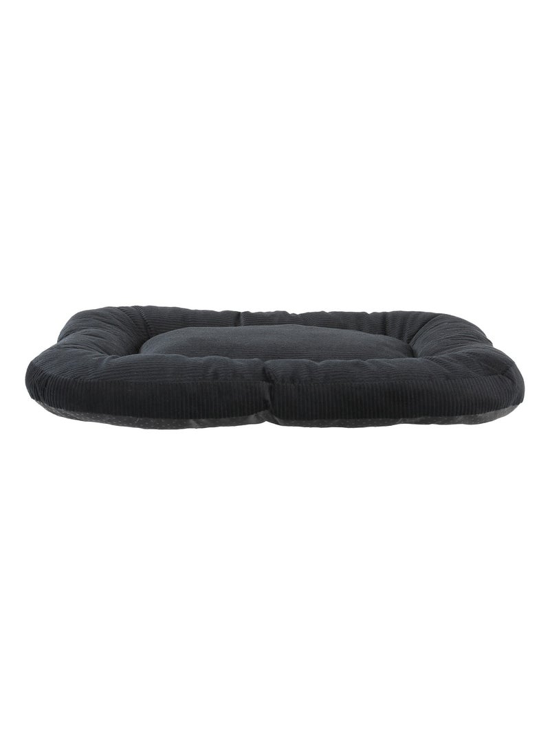 Mon Ami Luki  Coussin confort Noir Noir - Kiabi