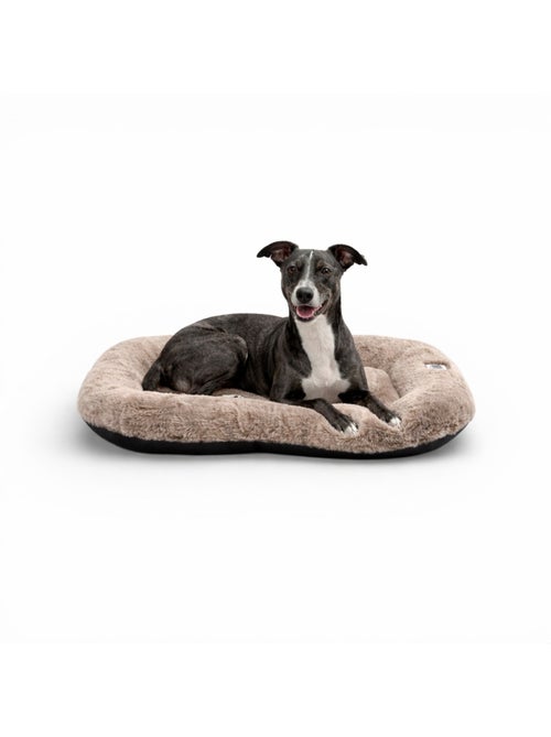 Mon Ami Luki  Coussin ovale antidérapant face fourrure - Kiabi