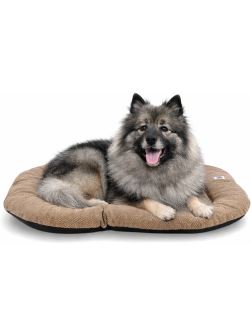 Mon Ami Luki  Coussin ovale antidérapant tissus - Kiabi