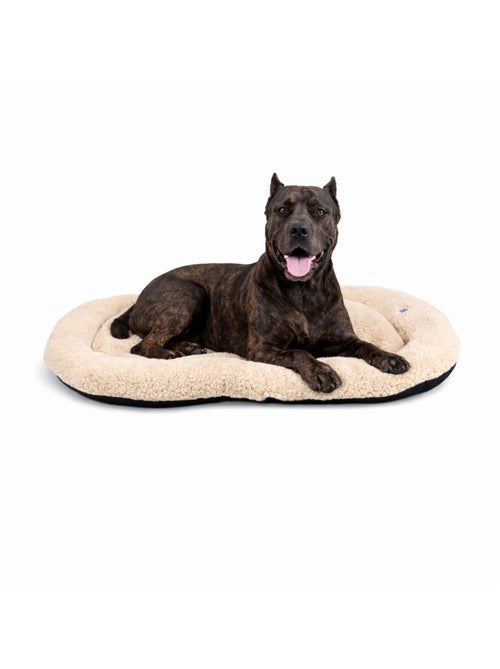 Mon Ami Luki  Coussin ovale antidérapant tissus mouton - Kiabi