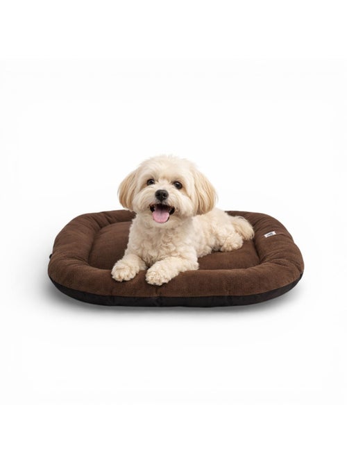 Mon Ami Luki  Coussin ovale antidérapant toute surface tissus - Kiabi
