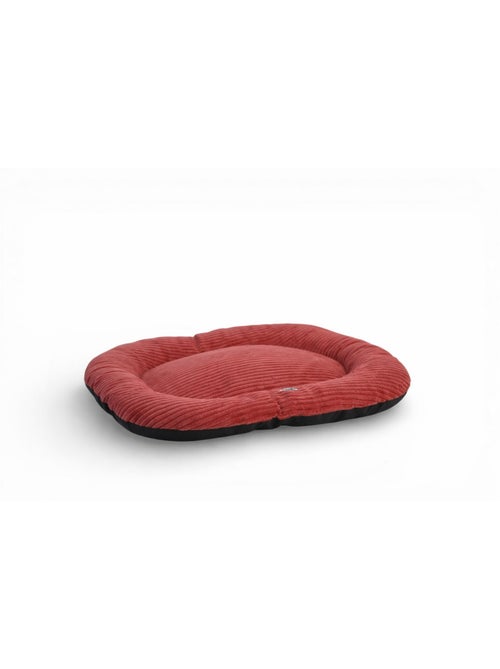 Mon Ami Luki Coussin ovale antidérapant velours côtelé - Kiabi Mon Ami Luki Coussin ovale antidérapant velours côtelé - Kiabi