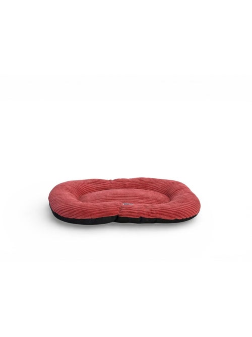 Mon Ami Luki Coussin ovale antidérapant velours côtelé - Kiabi Mon Ami Luki Coussin ovale antidérapant velours côtelé - Kiabi