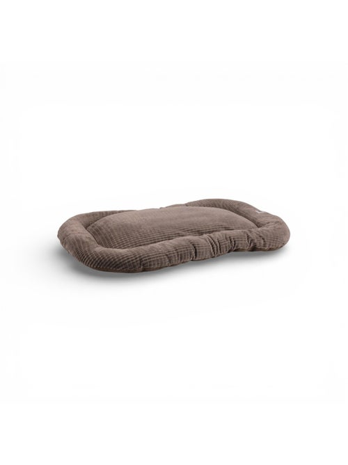 Mon Ami Luki  Coussin SOFTTOUCH  bimatière doux  antidérapant  Petit chien - Kiabi