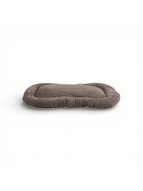 Mon Ami Luki  Coussin SOFTTOUCH  bimatière doux  antidérapant  Petit chien - Kiabi