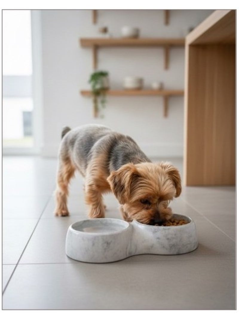 Mon Ami Luki  Double gamelle  2 bols intégré  stable, pratique et élégante  chien & chat Blanc Gris - Kiabi