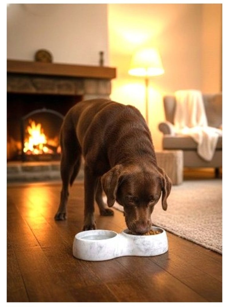 Mon Ami Luki  Double gamelle  2 bols intégré  stable, pratique et élégante  chien & chat Blanc Gris - Kiabi