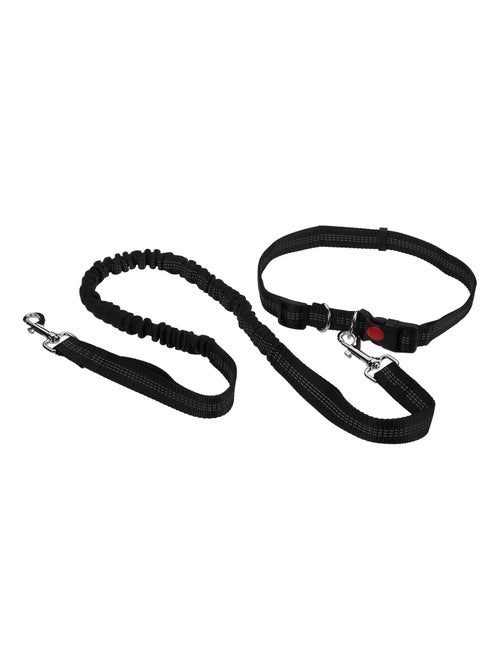 Mon Ami Luki  Ensemble kit mains libres  laisse extensible  ceinture ajustable - Kiabi