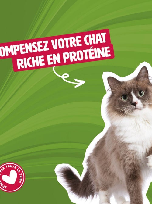 Mon Ami Luki  Friandises  chats 3unitées vendues - Kiabi