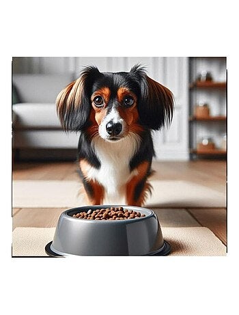 Mon Ami Luki Gamelle wave modèle original