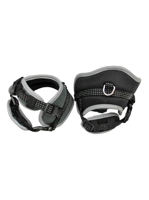 Mon Ami Luki  Harnais protection confort - Kiabi
