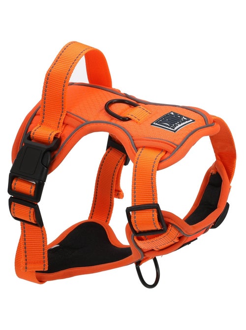 Mon Ami Luki  Harnais réfléchissant - Kiabi